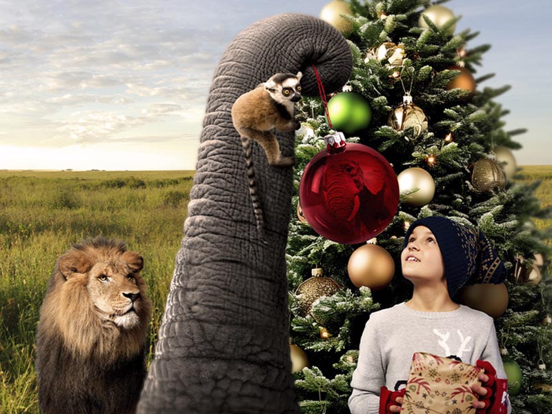 Selwo Aventura: trae un adorno navideño y consigue un 35% de descuento