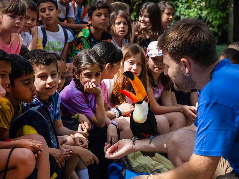 Charla educativa de aves exóticas