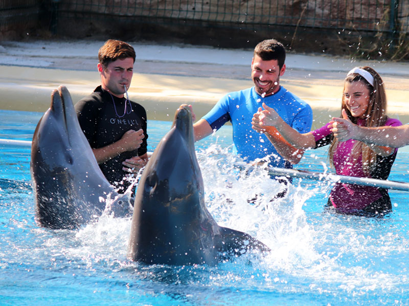 Encuentro con delfines en Selwo Marina Benalmádena