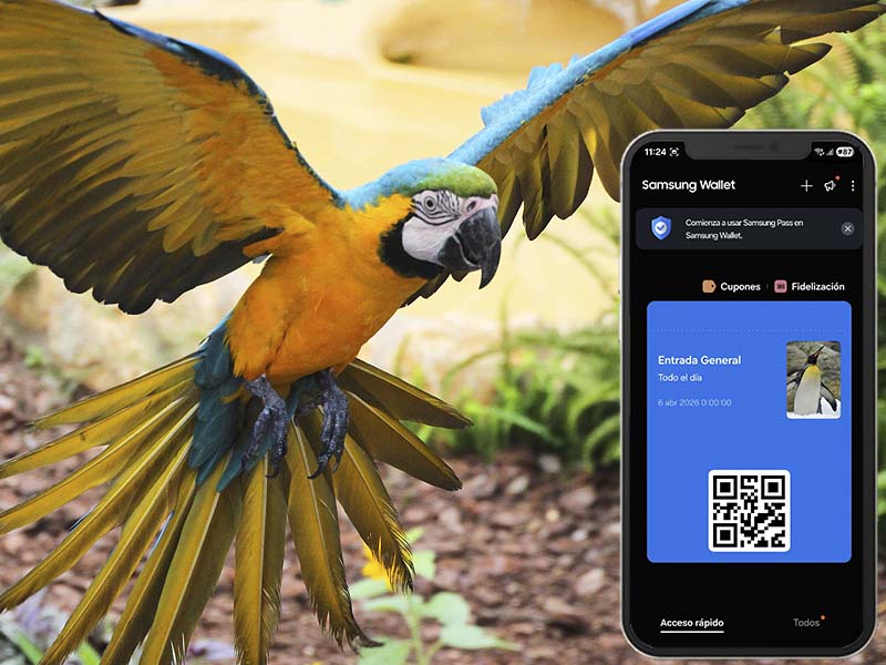 Samsung Wallet en Selwo Marina Benalmádena