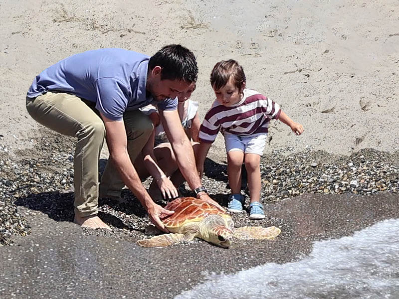 Devolvemos al mar una tortuga boba recuperada de sus heridas