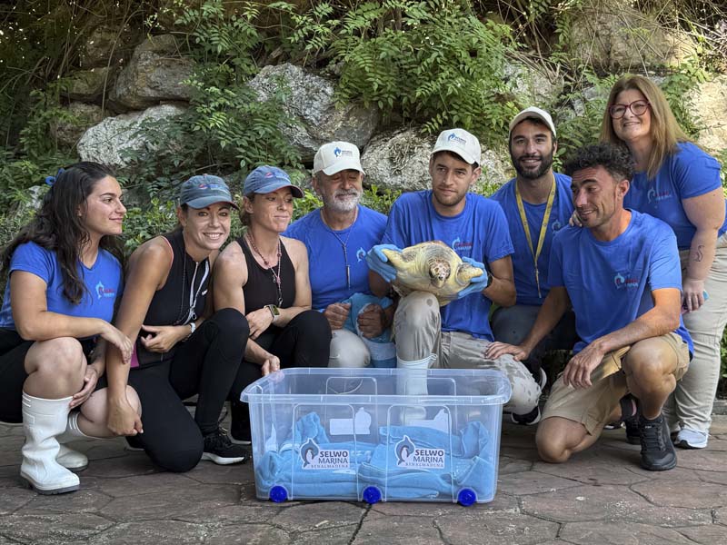 Equipo de Conservación de Selwo Marina que ha cuidado a la tortuga boba durante su recuperación
