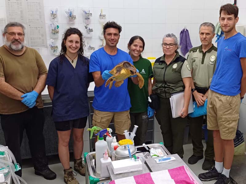 Equipo de Selwo Marina en la recogida de la tortuga boba Paloma