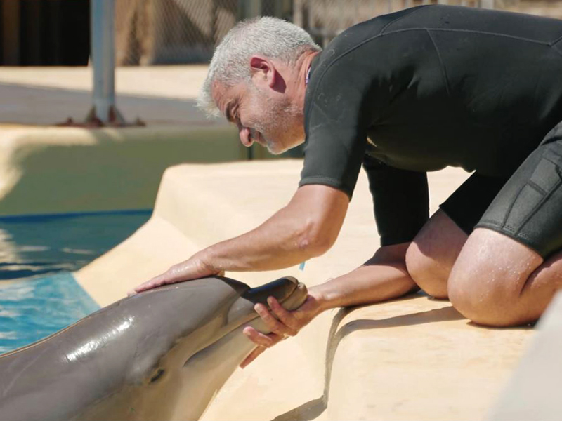 Cuidador de delfines en Selwo Marina