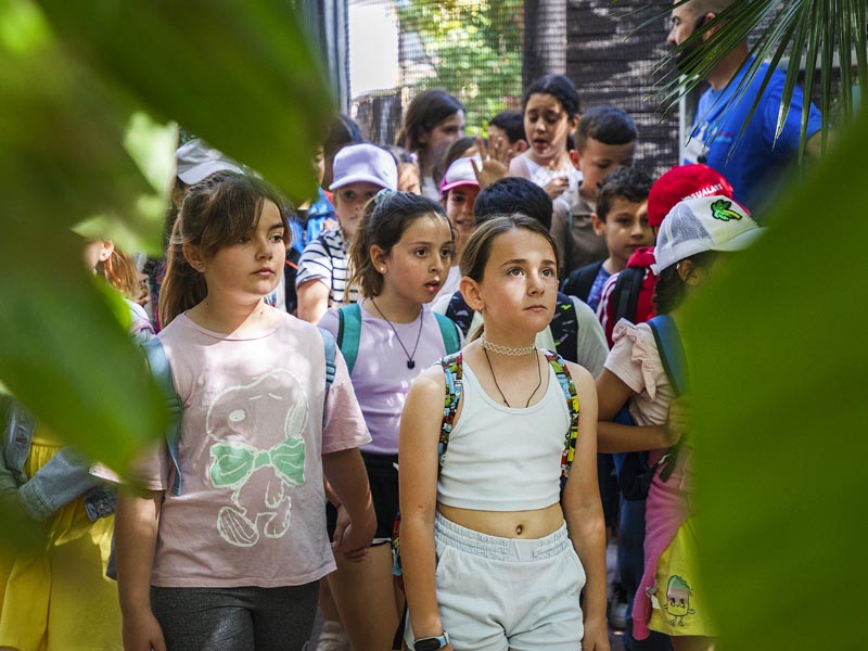 Grupo de niños visitando Selwo Marina