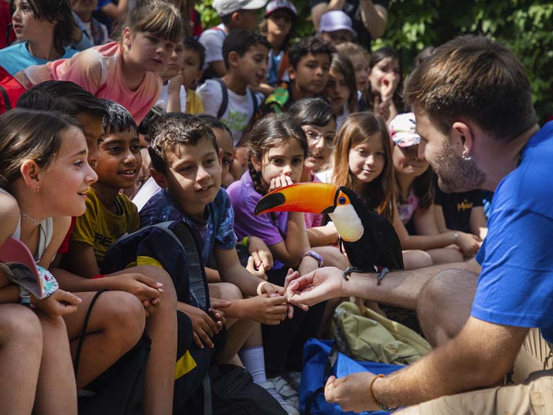 Grupo escolar disfrutando de la presentación de aves exóticas de Selwo Marina