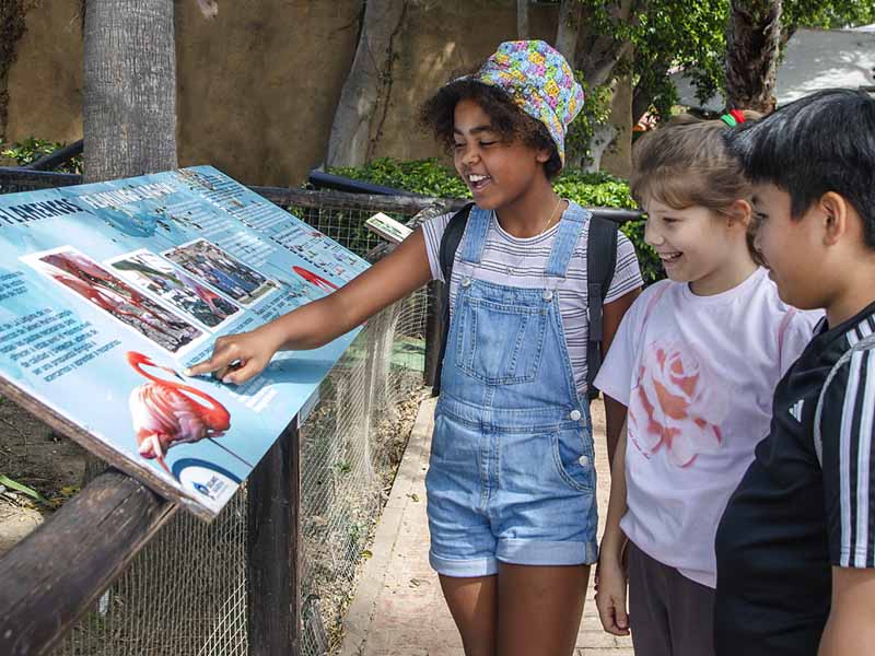 Oferta escolar 2026/27