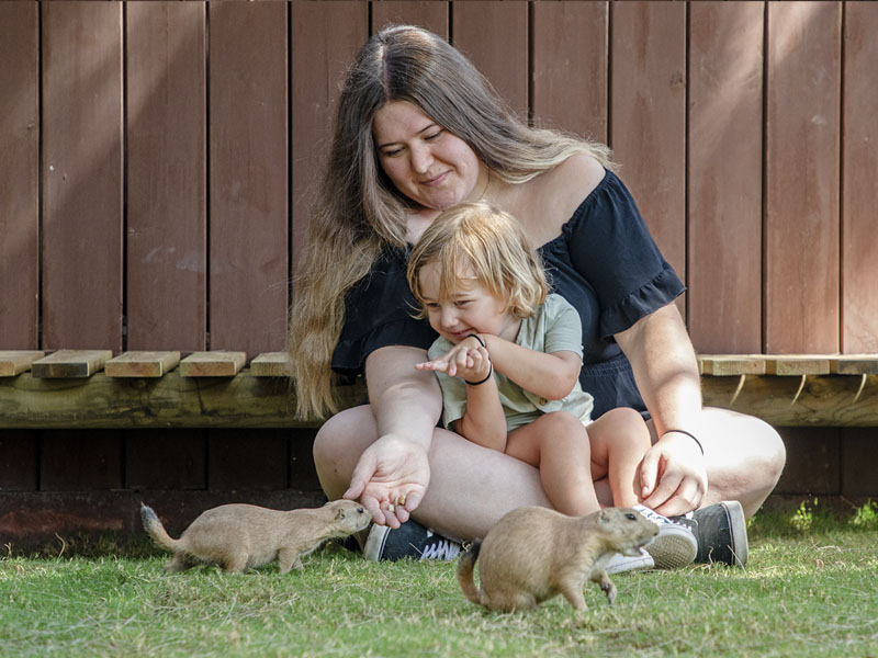 Familia en la instalación de los perritos de la pradera Selwo Marina Benamádena