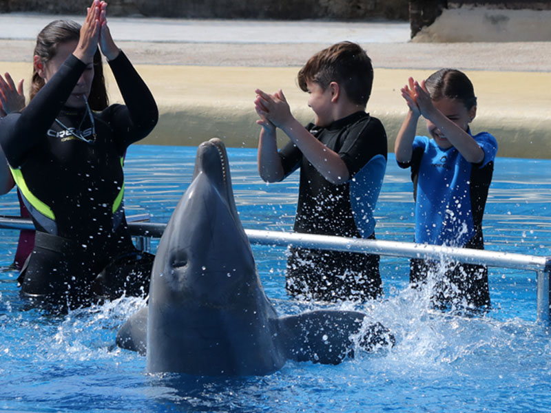 Niños disfrutando del Encuentro con Delfines en Selwo Marina