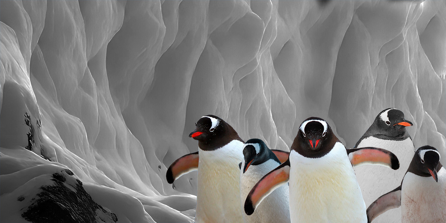 Black Friday en Selwo Marina Benalmádena