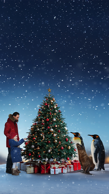 Navidad en Selwo Marina Benalmádena