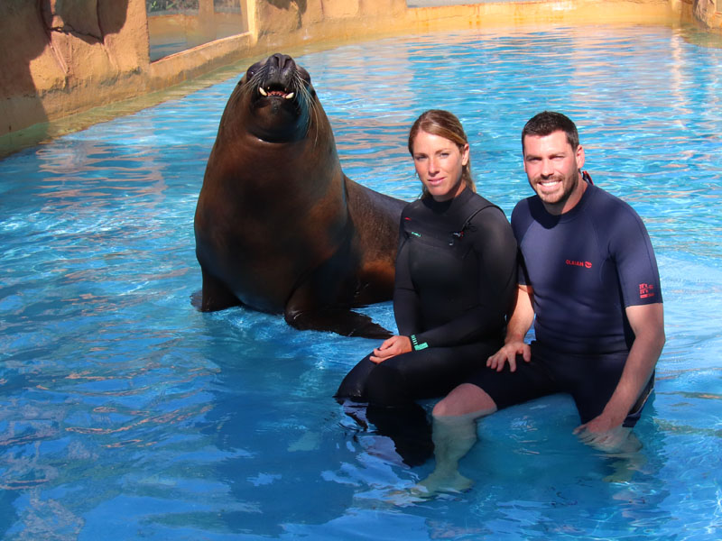 Encuentro con leÃ³n marino Selwo Marina