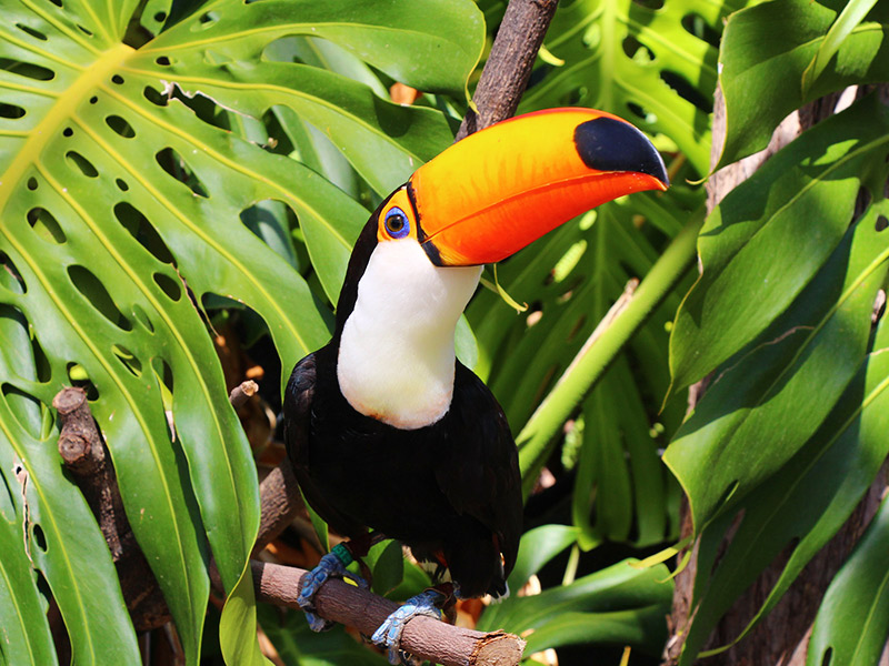 Familia disfrutando de Selwo Marina
